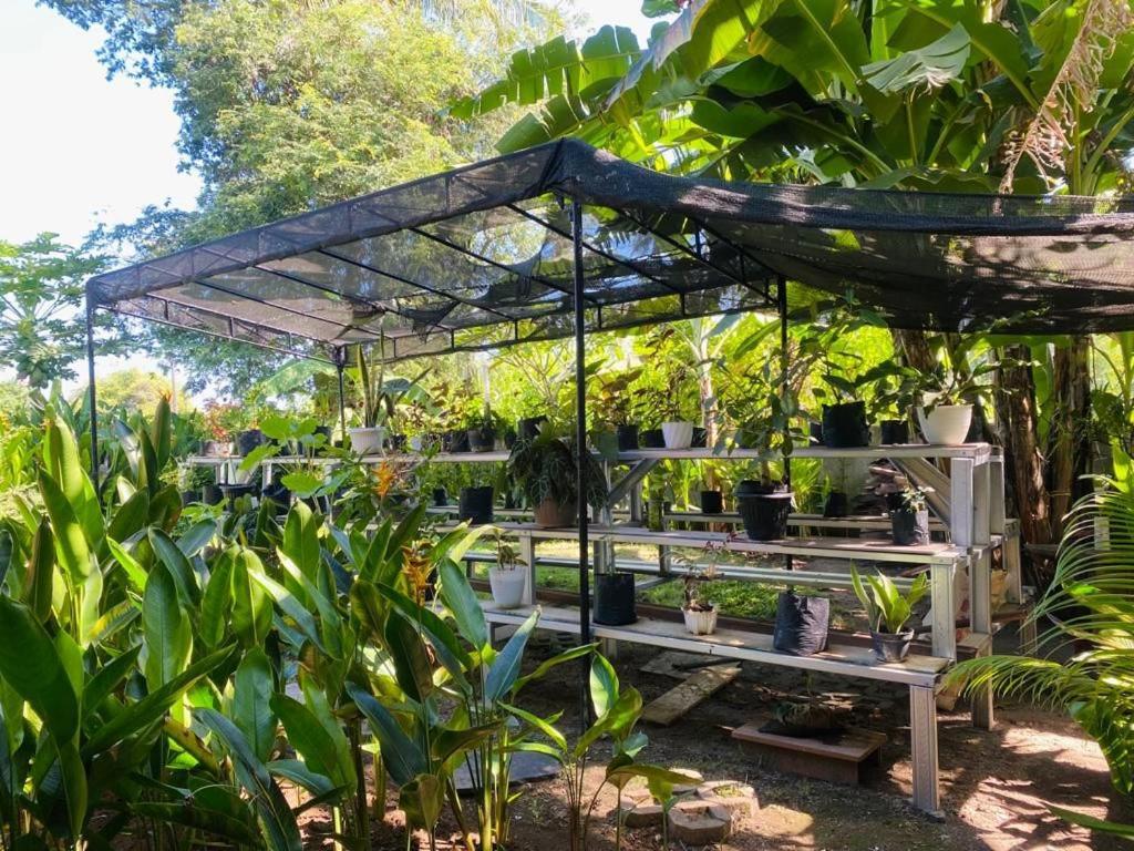 Al-Shifa Healing House Lombok Hotel Gili Air Exterior foto