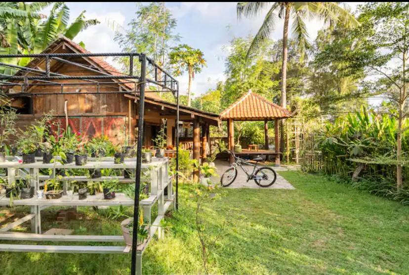 Al-Shifa Healing House Lombok Hotel Gili Air Exterior foto